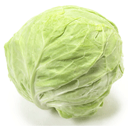 Cabbage