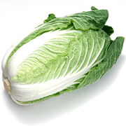 Chinese Cabbage