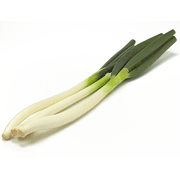 Japanese Leek