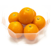 Kumquat