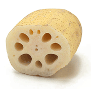 Lotus Root