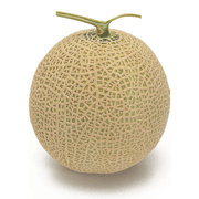 Melon