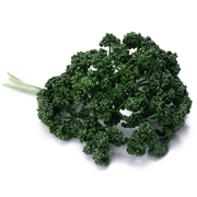 Parsley