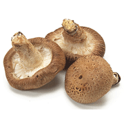 Shiitake Mushroom