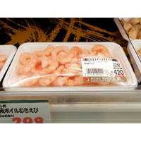 Shrimp