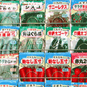 Vegetable seeds